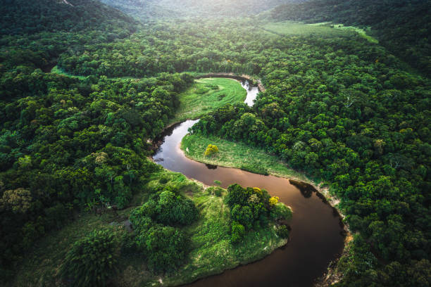 Riverboat on the Amazon River